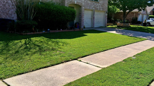 Full Lawn Service (Front & Back Yard)